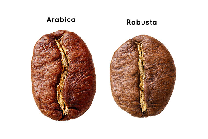 arabica vs robusta