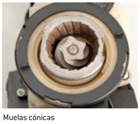 muelas cónicas
