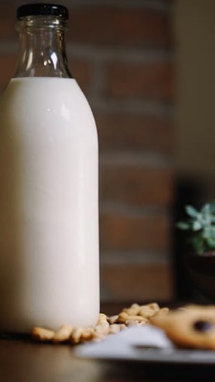 leche vegetal