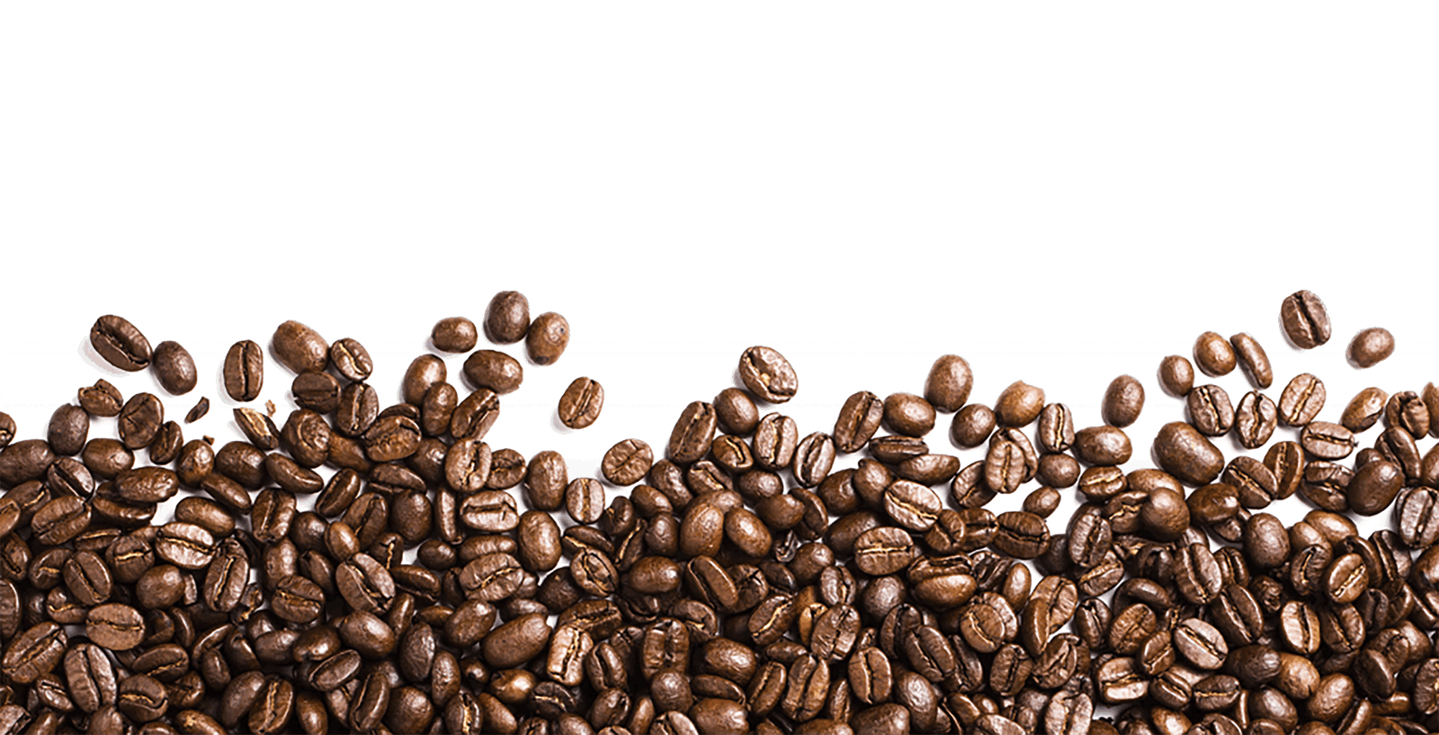 Borde inferior de granos cafe